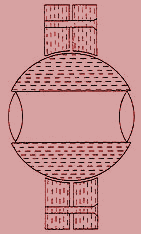 Schwenter's Scioptric Ball Illustration