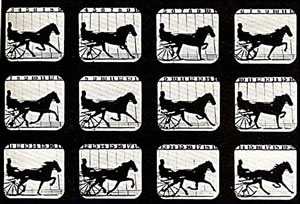 Proofs From Muybridge's Shots Of Occident In 1878