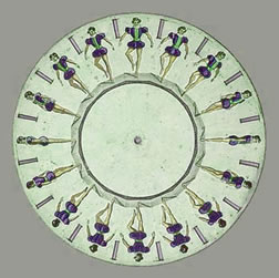 Plateau's Phenakistoscope Disk 1832
